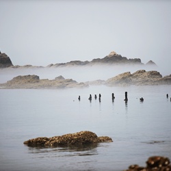 dailyPhoto37